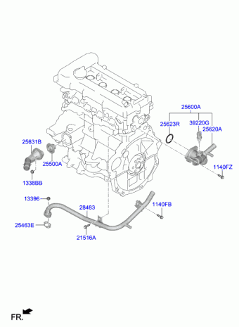 Elantra 16.05.2019 2020