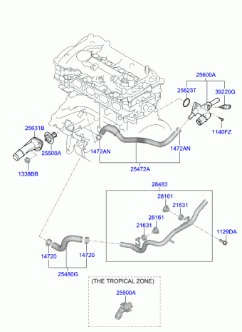 Elantra 13.03.2019 2019