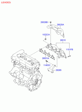 Elantra/Avante 28.02.2009 2010