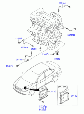 Elantra/Avante 28.02.2009 2010