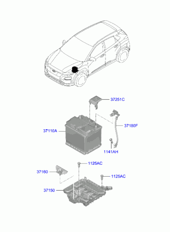 Kona Electric 21.01.2022 2022