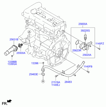 Elantra 15.11.2013 2014