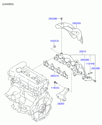 Elantra 15.11.2013 2014