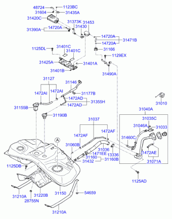 Genesis coupe 10.06.2010 2011