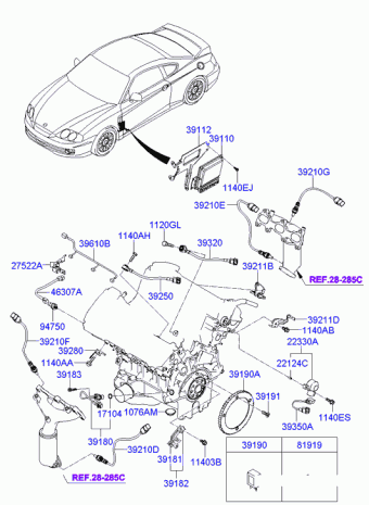Tiburon 14.04.2007 2007