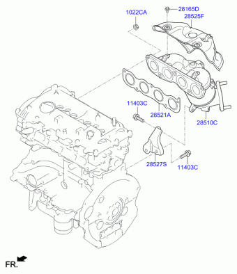Veloster 15.08.2018 2019