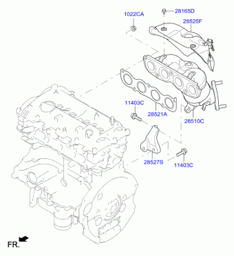 Elantra 08.11.2017 2018