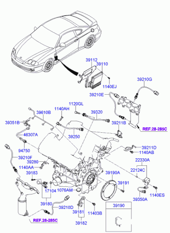 Coupe 15.09.2007 2008