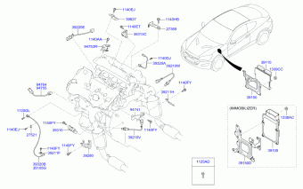 Genesis coupe 20.11.2015 2016
