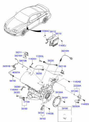 Coupe 26.06.2007 2008