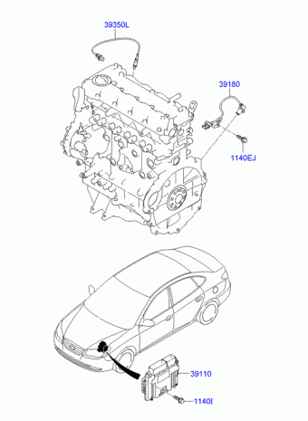 Elantra 28.08.2009 2010