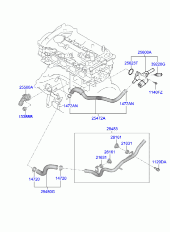 Veloster 23.08.2018 2019