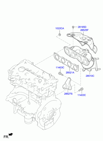 Veloster 23.08.2018 2019