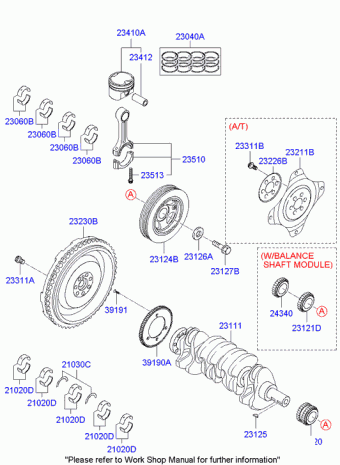 Sonata 28.04.2009 2010