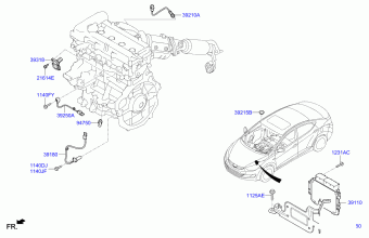 Elantra 13.02.2012 2013