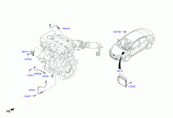 Elantra 22.12.2014 2016