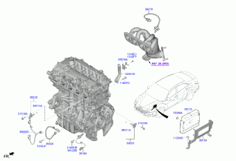 Elantra 12.08.2021 2021