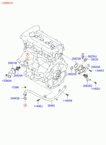 Elantra 20.10.2006 2007