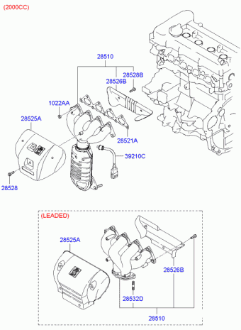 Elantra 20.10.2006 2007