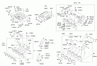 Sonata EF 12.03.2005 2005