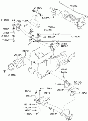 Starex 20.11.2006 2007