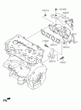 Elantra 08.02.2018 2018
