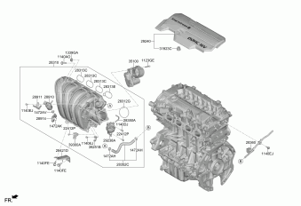 Elantra 20.07.2022 2022