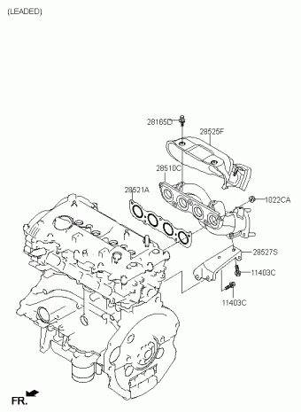 Elantra 17.10.2018 2019