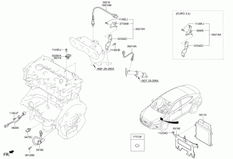 Elantra 12.09.2018 2018