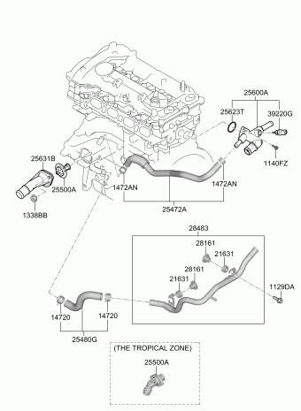 Elantra 15.02.2019 2019