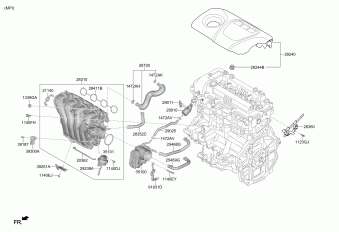 Elantra 15.02.2019 2019