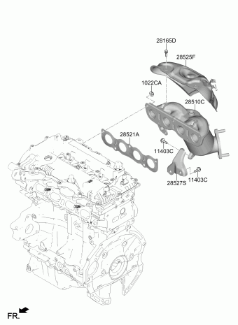 Elantra 15.02.2019 2019