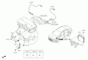 Elantra 15.02.2019 2019