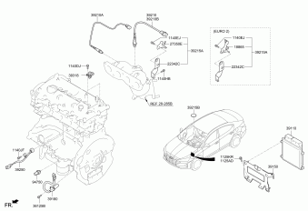 Elantra 15.02.2019 2019
