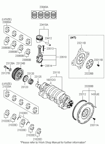 Elantra 13.06.2008 2008