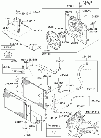 Elantra 13.06.2008 2008