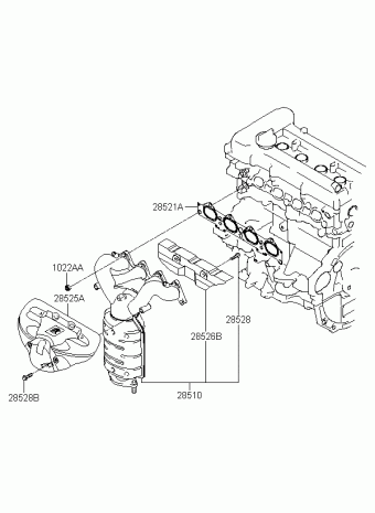 Elantra 13.06.2008 2008