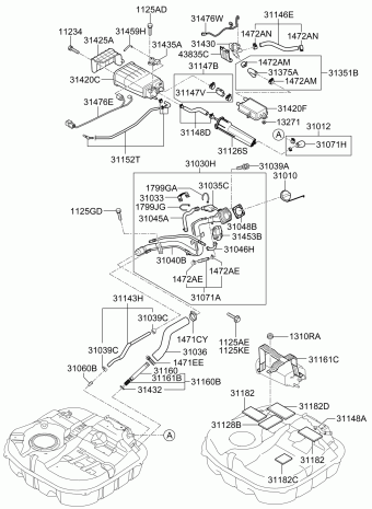Elantra 13.06.2008 2008