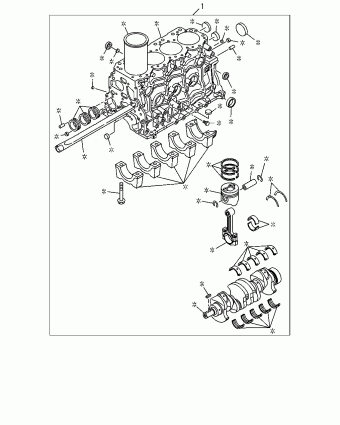 TFR/TFS(EUROPE)-LHD PICKUP TF