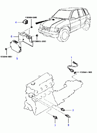 Sportage 01.11.1994 1995