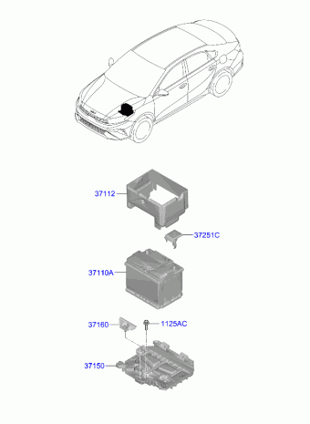 Cerato 30.05.2023 2023
