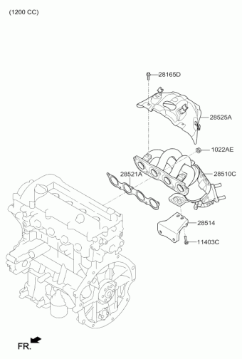 Picanto 20.01.2020 2020