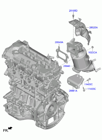 Picanto 09.11.2020 2021