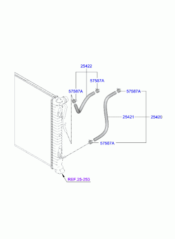 K5 23 (2023-) 05.02.2024 2024