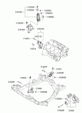 Sportage 22.01.2010 2010