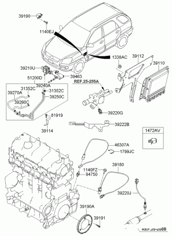 Sportage 08.08.2008 2009