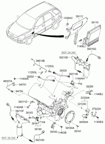 Sportage 22.01.2010 2010