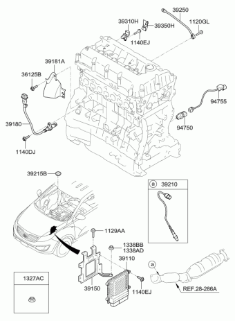 Sportage 10.12.2011 2012