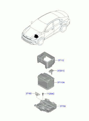 Cerato 25.01.2023 2023