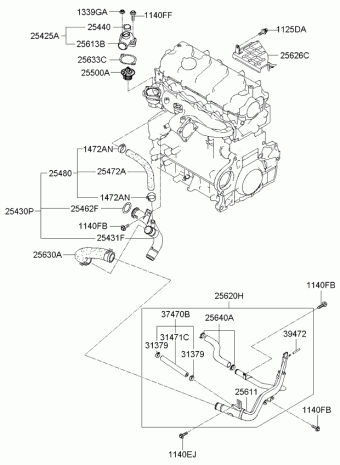 Ceed 20.01.2009 2009